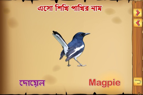 Bengali Birds screenshot 3