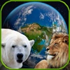 Amazing Earth 3D: Wild Friends!