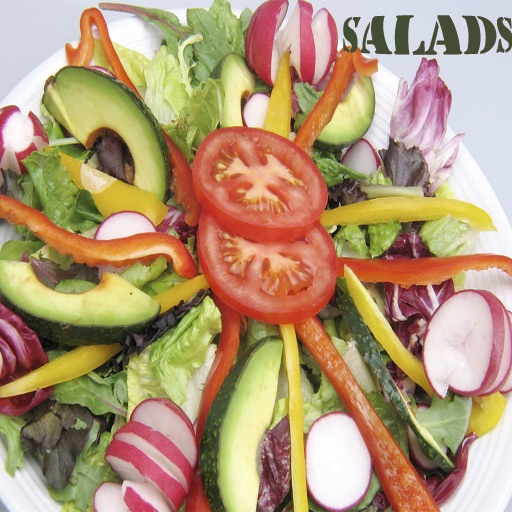 Salads icon