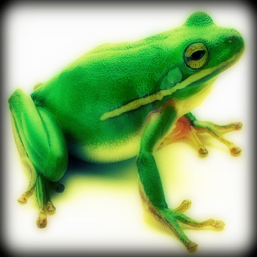 Frog - Amphibian Sounds That You Control icon