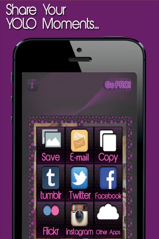 YOLO Insta-Collage Photo Frame Editor – Pic Editing for Instagram, Flickr, Social Media, Camera Roll FREE Edition screenshot 3