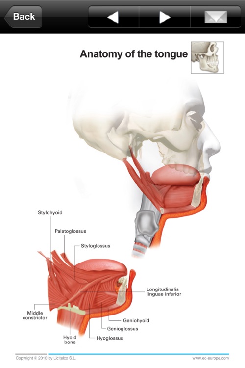 Miniatlas Dentistry