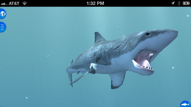 Shark Net - Predators of the Blue Serengeti