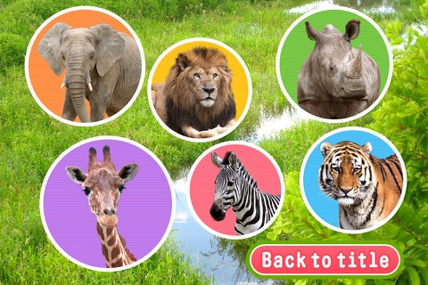 Animal pictorial book  free screenshot 2