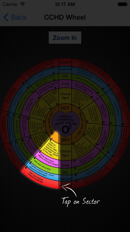 CCHD Wheel