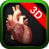 VirtualHeart3D
