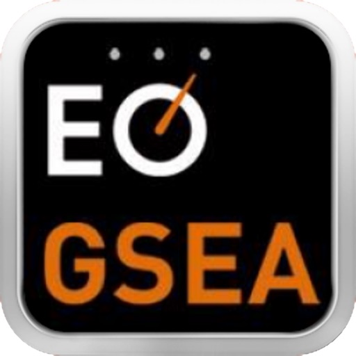 GSEA Россия 2013