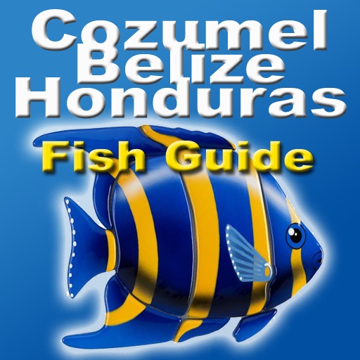 Cozume,Belize & Honduras Fishes :  Diving icon