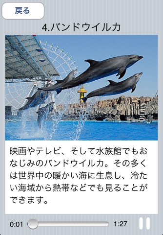 Audio Guide - The Port of Nagoya Public Aquarium - screenshot 4