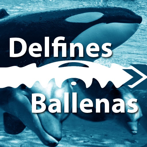 HD Delfines y Ballenas