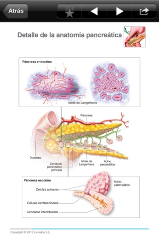 Miniatlas Diabetes Mellitus screenshot 2