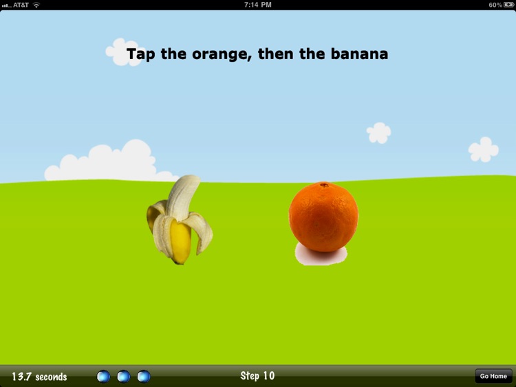 The Dummy Test HD by Redwheel Apps