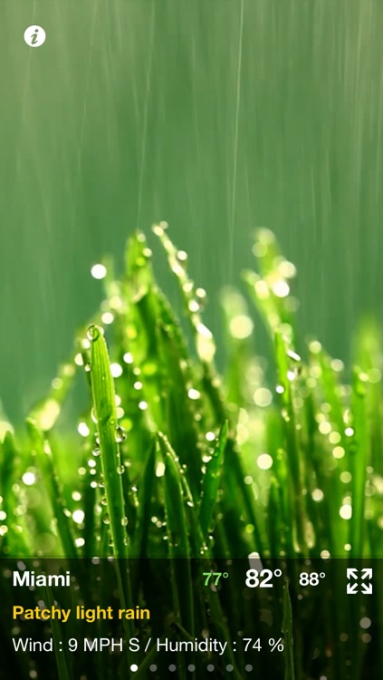 Weather Motion