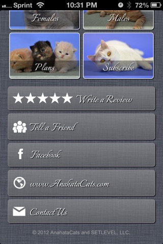 Anahata Cats screenshot 2