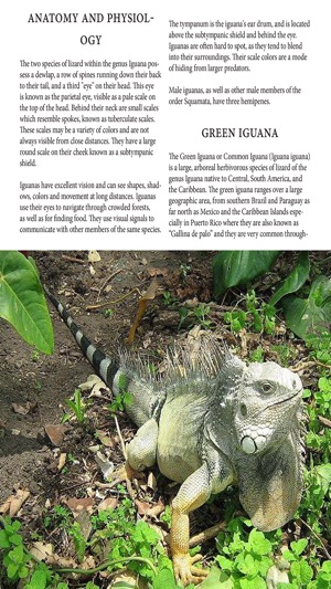 Reptile Magazine(圖3)-速報App