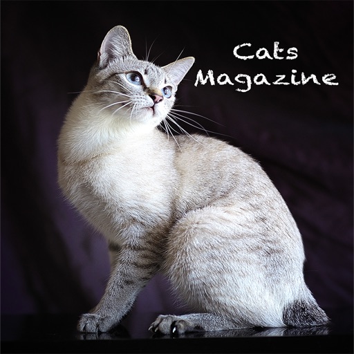 Cats Magazine Icon