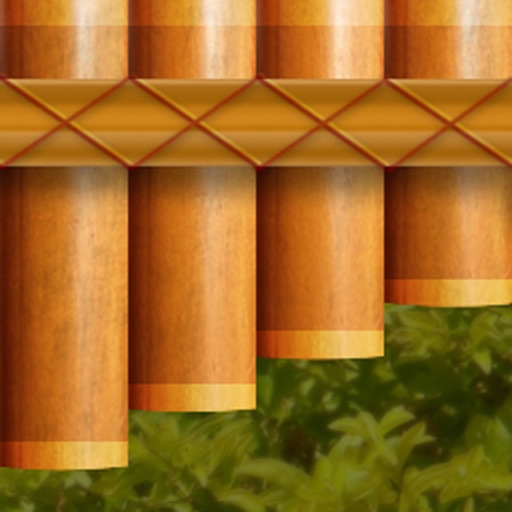 Crazy Panpipe iOS App