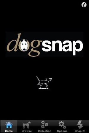 Dogsnap(圖1)-速報App