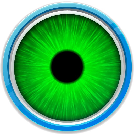 Vision