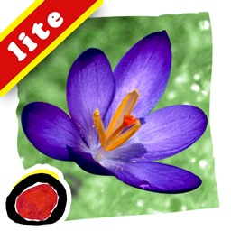 Spring Changes is an interactive story for kids about the most important changes of the spring season, told in brief, simple words and shown in beautiful seasonal photographs by Ellen B. Senisi.  (iPad Lite version; by Auryn Apps)