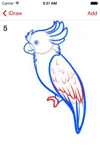 How to draw birds - FREE screenshot 2