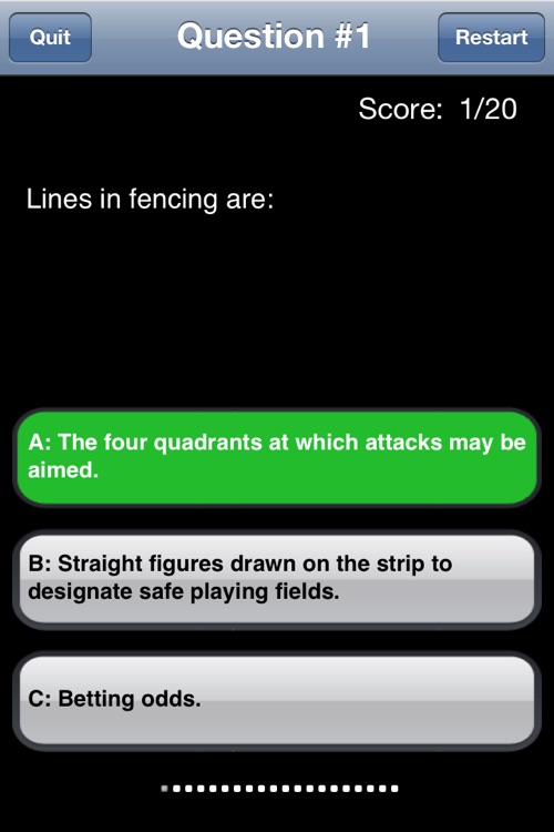 Fencing for Fun
