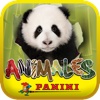 Animales Panini