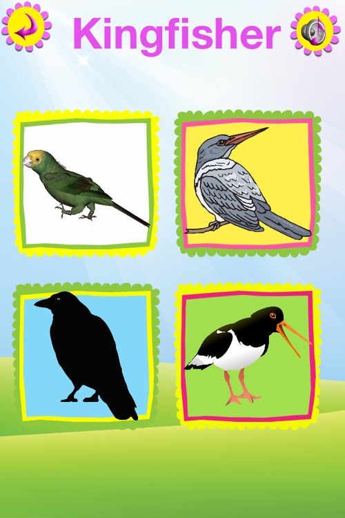 Birds book screenshot-3