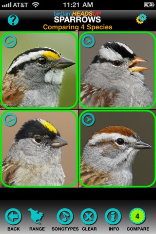 birdJam HeadsUp Sparrows screenshot 2