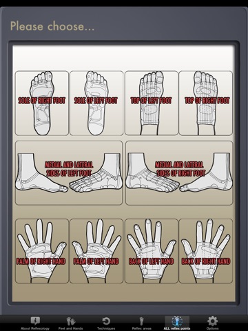 Reflexology PRO for iPad screenshot 4