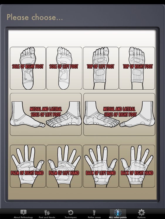 Reflexology PRO for iPad screenshot-3
