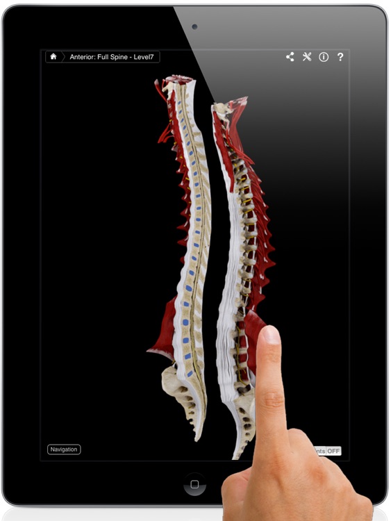 Spine Pro III screenshot-0