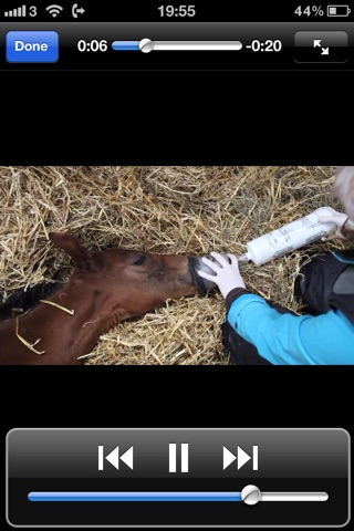 Foal CPR screenshot 4
