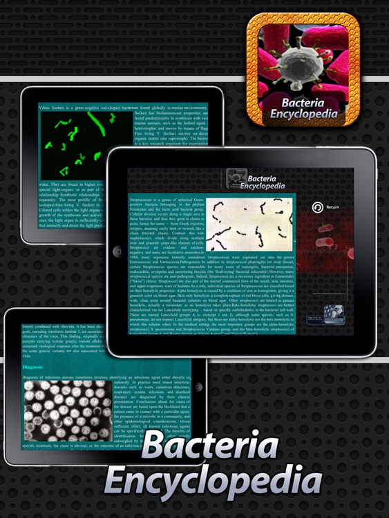 Bacteria Encyclopedia