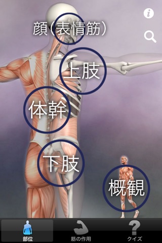 筋の解剖学 screenshot1