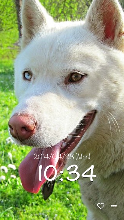 dog clock - clock for dog lovers - screenshot-3