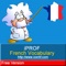 Improve your French Vocabulary with iProf