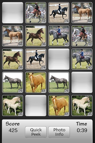 Horses Match Memory Game: Pair Up Horse Photos screenshot 2