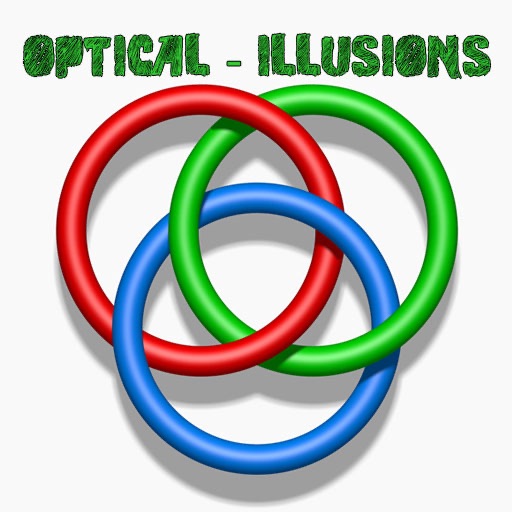 143 Optical Illusions