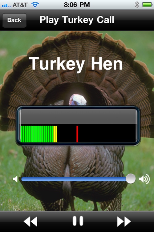 Pro Turkey Calls