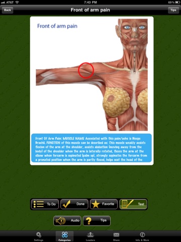 Muscle Trigger Points Doctor for iPad screenshot 3