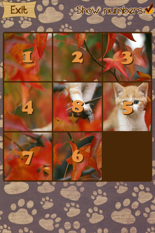 Kitten Slide Puzzles screenshot 2