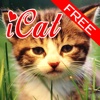 iCat HD (free)