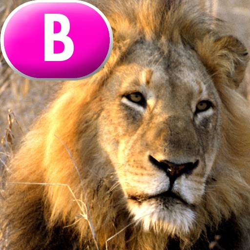 Animal Sounds - LAZ Reader [Level B–kindergarten] icon