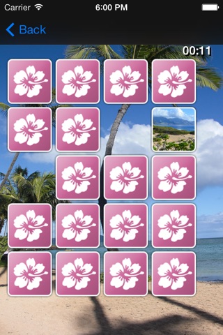 Hawaii Card Game screenshot 3