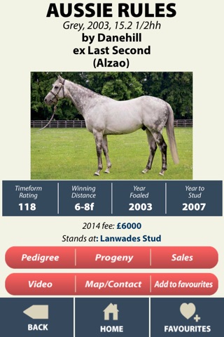 Thoroughbred Stallion Guide screenshot 2