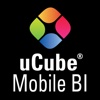 Mobile BI "for iPhone"
