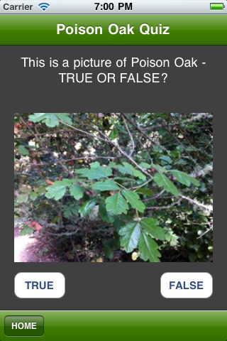 Poison Oak Quiz screenshot 2