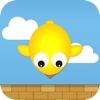 Bird Fall - Attack of the swamp of birds from the sky (by duet puppy game)