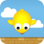 Bird Fall - Attack of the swamp of birds from the sky by duet puppy game